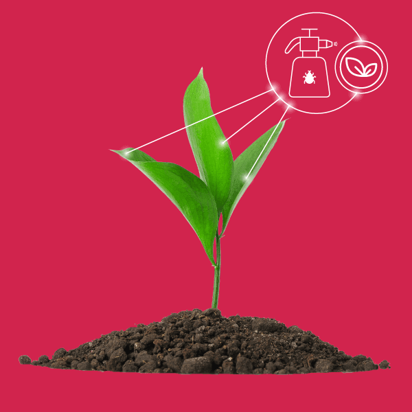 Our ReEarth Solutions