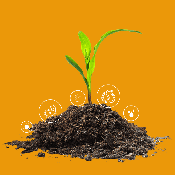 Our ReEarth Solutions