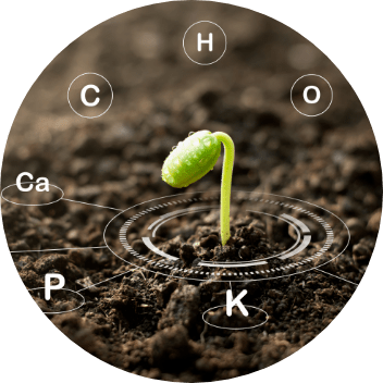 Foliar Nutrition