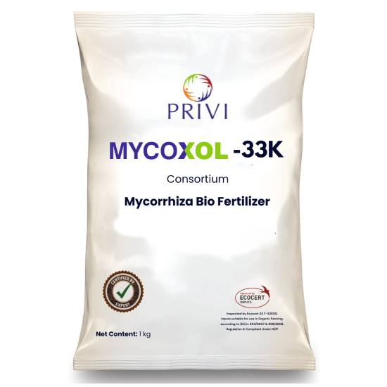 MYCOXOL-33K (Consortium: R. irregularis + R. clarus + F. mosseae)