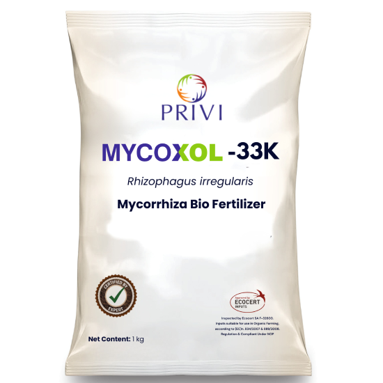MYCOXOL-33K (Rhizophagus irregularis)
