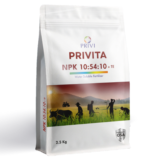 PRIVITA 10-54-10 + TE