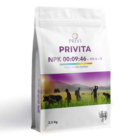 PRIVITA 0-9-46 + TE